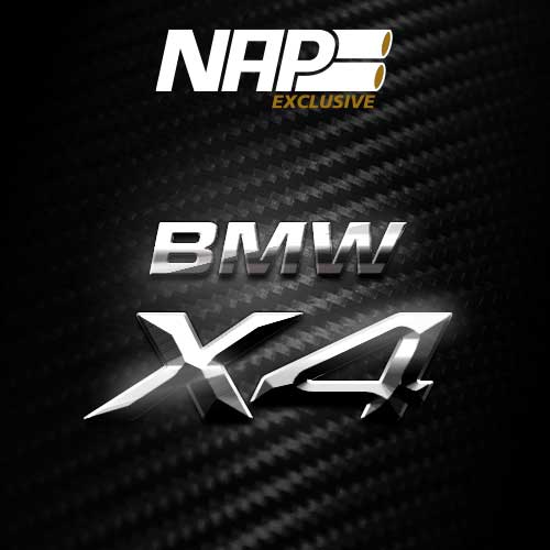 NAP Sportauspuff Exclusive BMW X4 cat