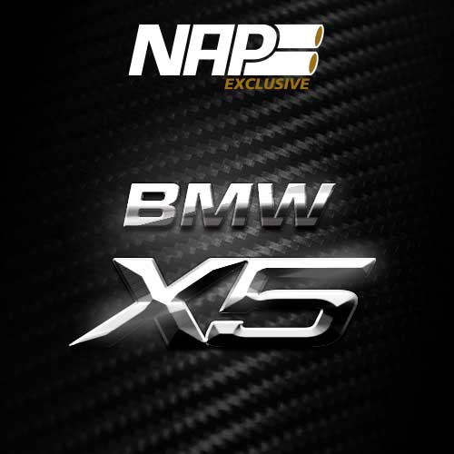 NAP Sportauspuff Exclusive BMW X5 cat