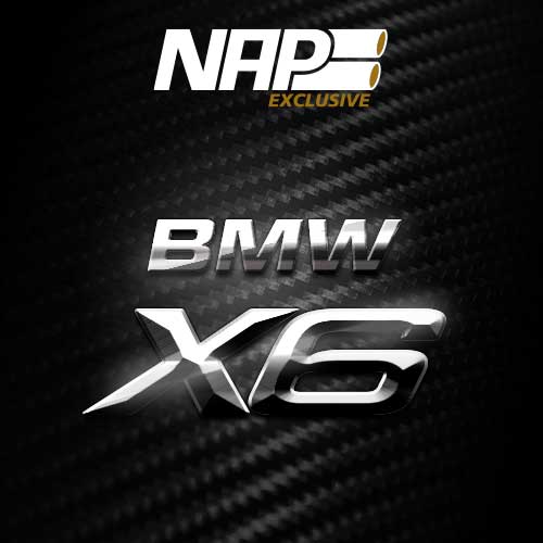 NAP Sportauspuff Exclusive BMW X6 cat